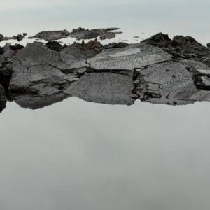 Ausstellungseröffnung: Fotoausstellung „arche-fossil“, Burg Giebichenstein