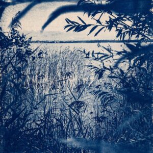 Ausstellungseröffnung: Henning Kreitel: „Auf Ruhesuche“ (Cyanotypien)